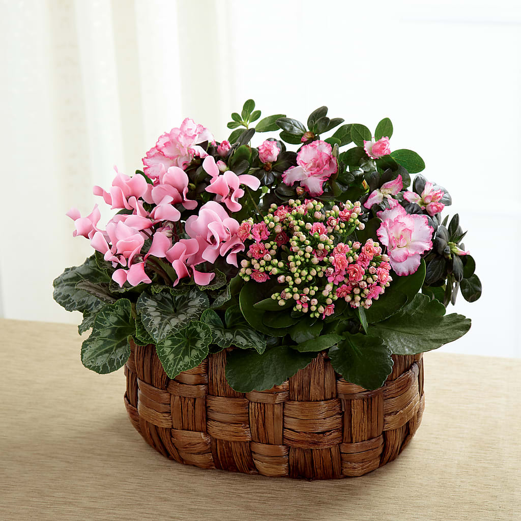 Pink Assortment – The Village Market Florist, Holly Springs MS