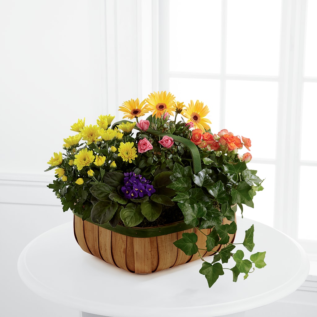 Gentle Blossoms Basket – The Village Market Florist, Holly Springs MS