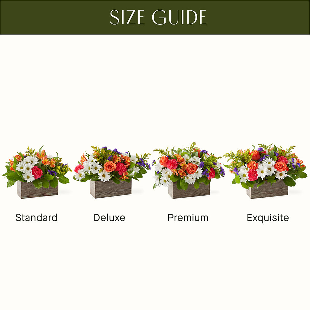 Oopsie Daisy Box Bouquet – The Village Market Florist, Holly Springs MS