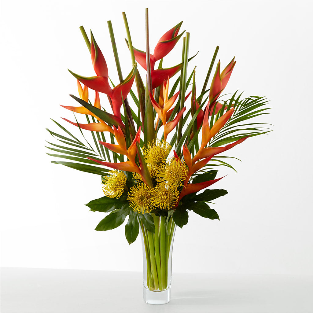 The Drama – The Village Market Florist, Holly Springs MS