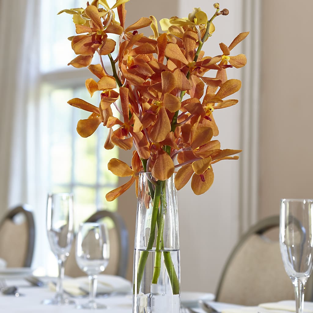 Orange Mokara Bud Vase – The Village Market Florist, Holly Springs MS