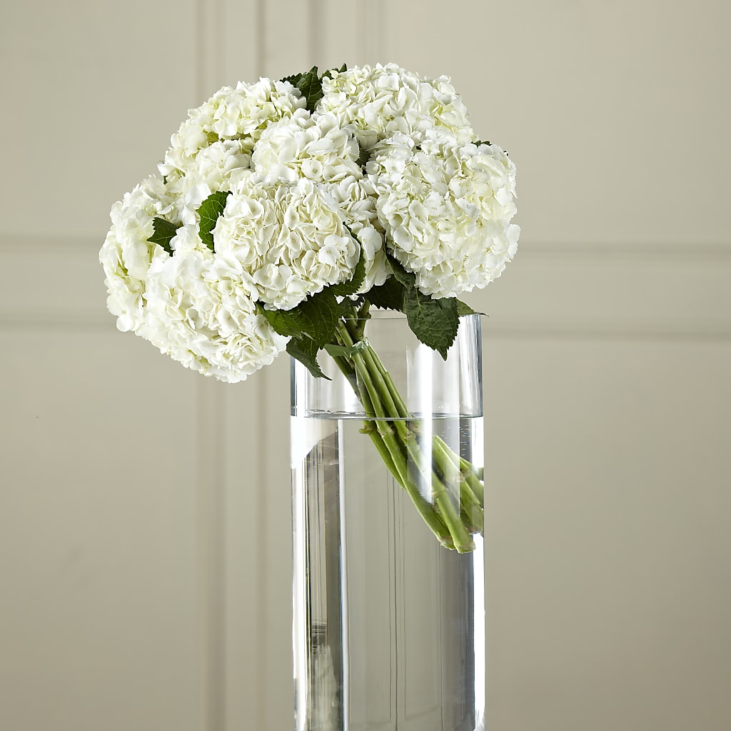 White Hydrangea Hand-Tied Bouquet – The Village Market Florist, Holly Springs MS