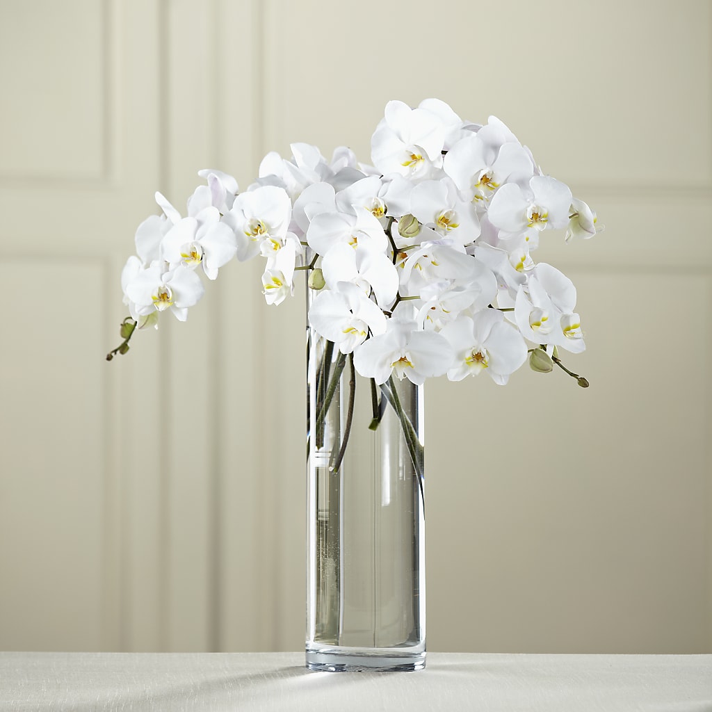 White Phalaenopsis Bouquet – The Village Market Florist, Holly Springs MS