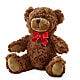 Adorable Plush Bear –  The Village Market Florist, Holly Springs MS