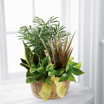 French Garden –  The Village Market Florist, Holly Springs MS