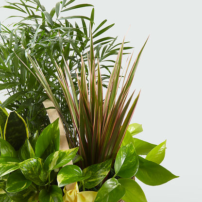 French Garden –  The Village Market Florist, Holly Springs MS