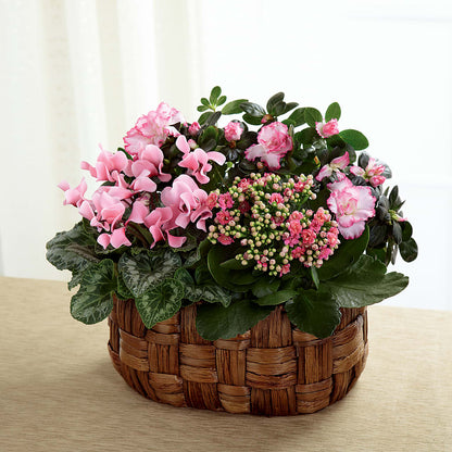 Pink Assortment –  The Village Market Florist, Holly Springs MS