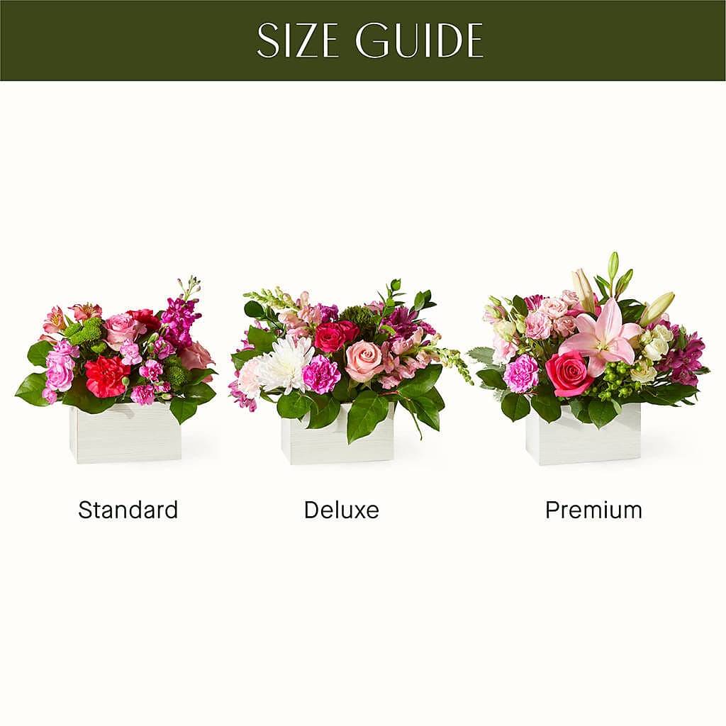 Sweetberry Box – A Florist Original –  The Village Market Florist, Holly Springs MS