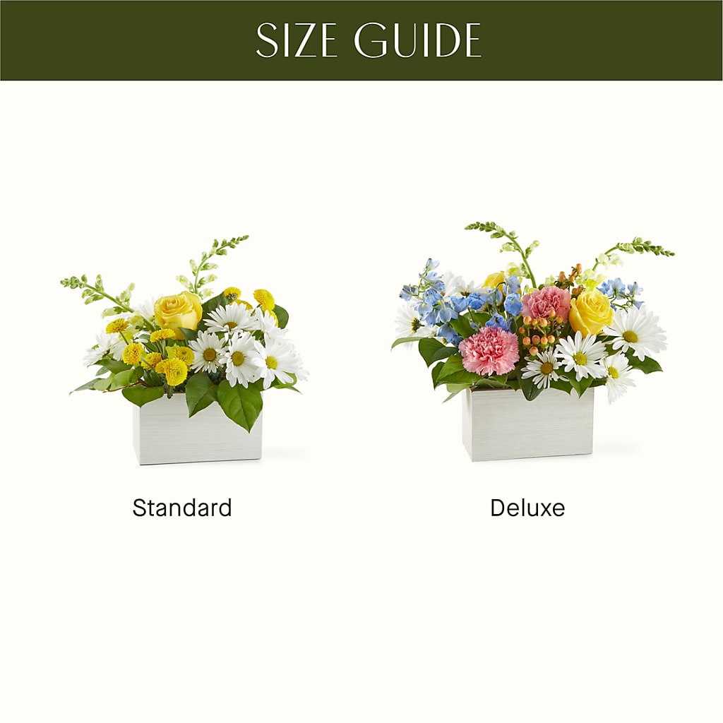 Sun Salutation Box Bouquet –  The Village Market Florist, Holly Springs MS