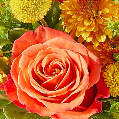 Gourdgeous Pumpkin –  The Village Market Florist, Holly Springs MS