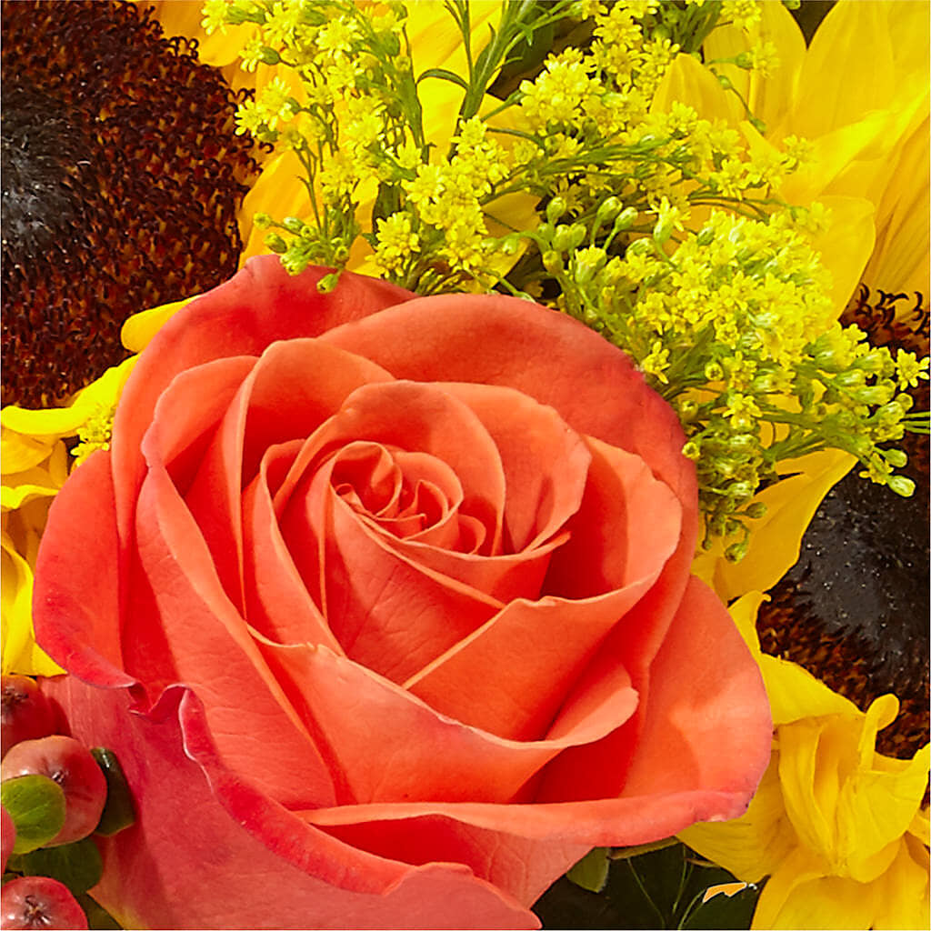 Pick of the Patch Pumpkin Bouquet –  The Village Market Florist, Holly Springs MS