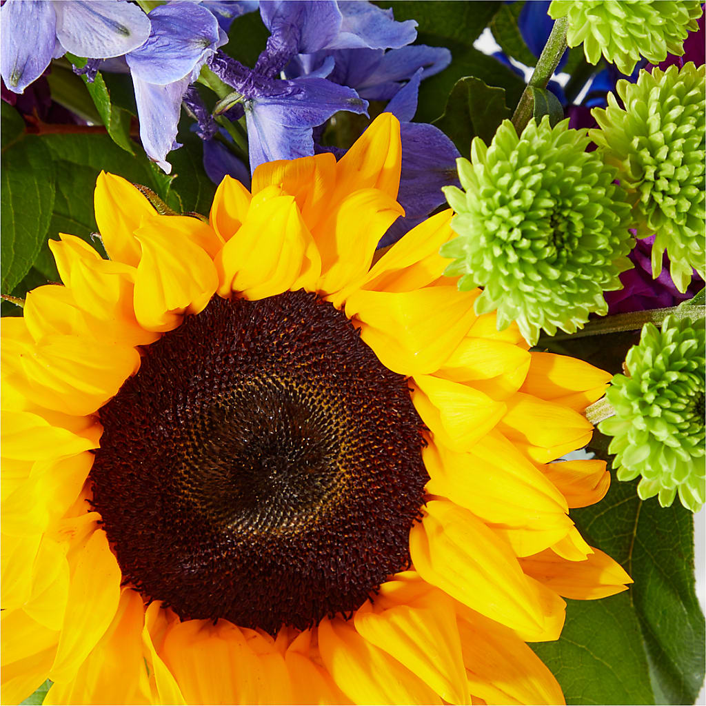 Catching Rays Bouquet –  The Village Market Florist, Holly Springs MS