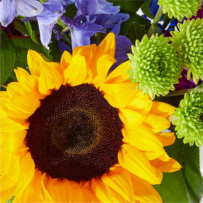Catching Rays Bouquet –  The Village Market Florist, Holly Springs MS