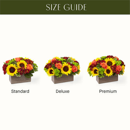 Happy Harvest Garden –  The Village Market Florist, Holly Springs MS