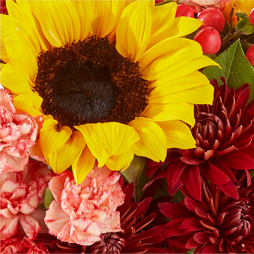 Fresh Cider Bouquet –  The Village Market Florist, Holly Springs MS