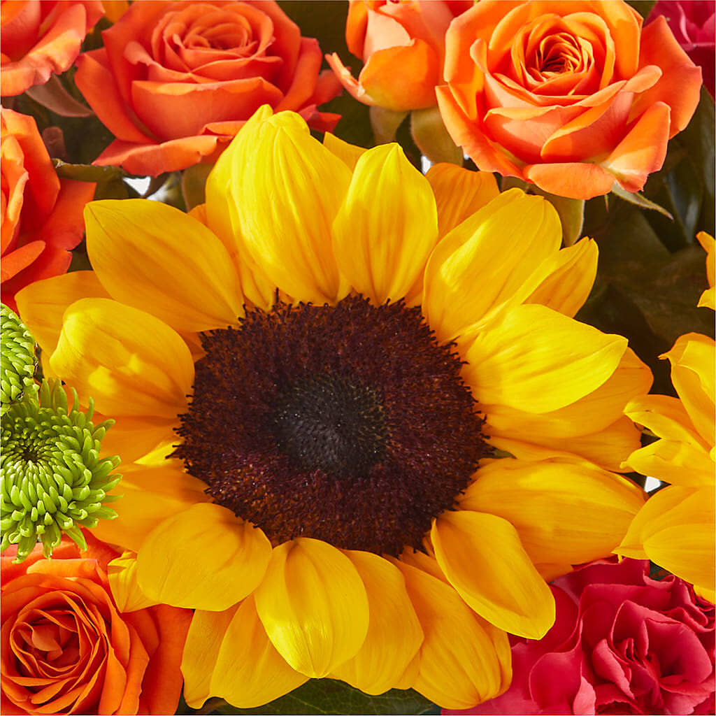 Sun-drenched Blooms Box Bouquet –  The Village Market Florist, Holly Springs MS