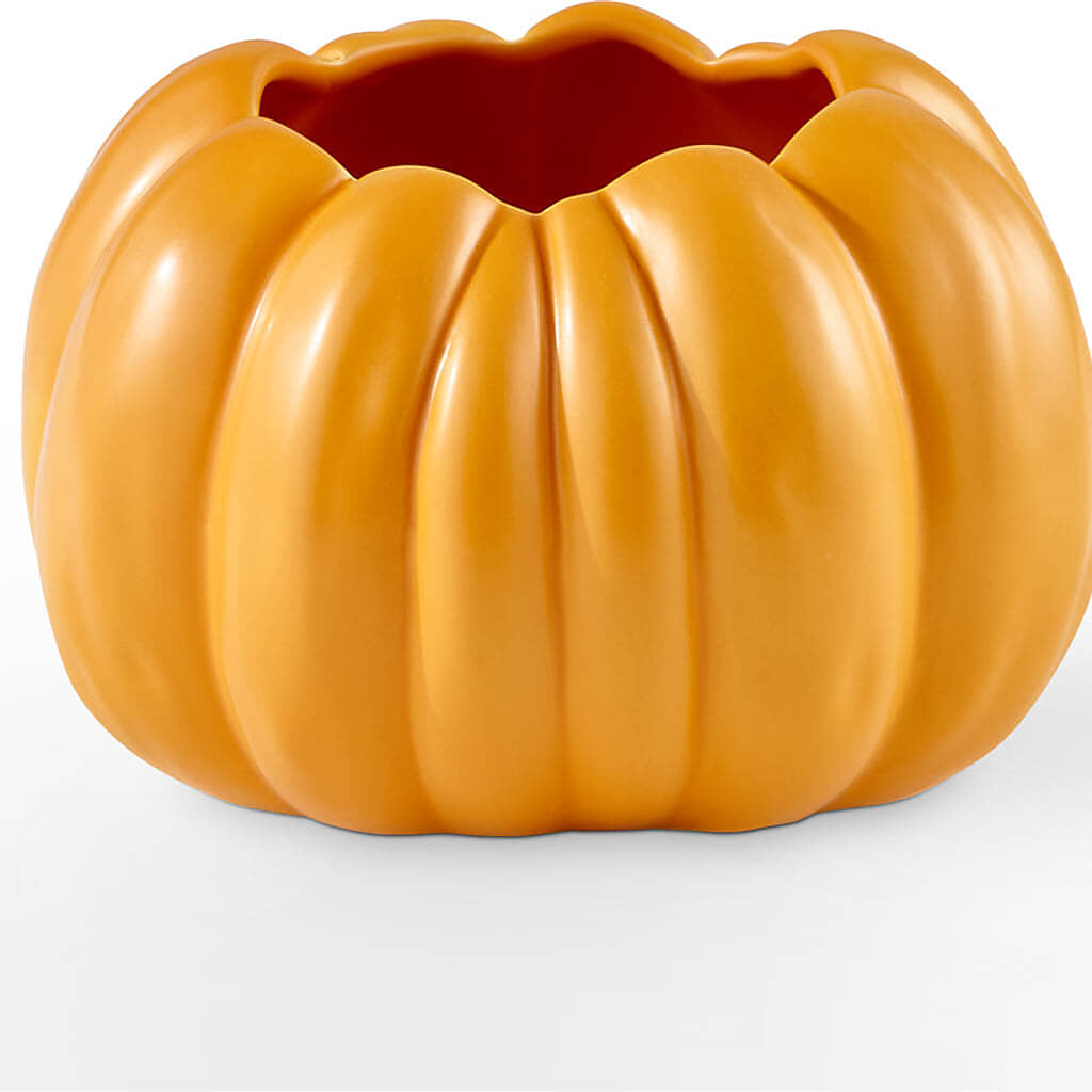 Pick of the Patch Pumpkin Bouquet –  The Village Market Florist, Holly Springs MS
