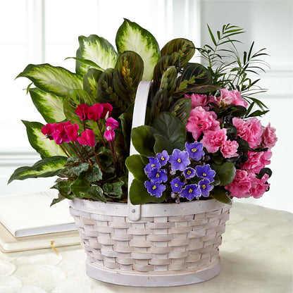 Peaceful Garden Planter –  The Village Market Florist, Holly Springs MS