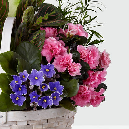 Peaceful Garden Planter –  The Village Market Florist, Holly Springs MS