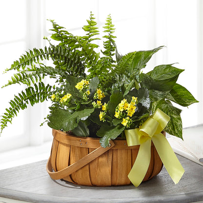 Always Dear Dishgarden –  The Village Market Florist, Holly Springs MS