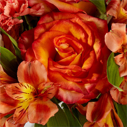Apricot Glow Bouquet –  The Village Market Florist, Holly Springs MS