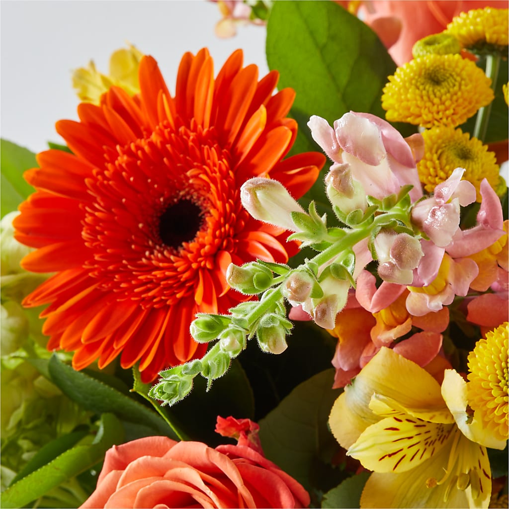 Autumn Sunshine Bouquet –  The Village Market Florist, Holly Springs MS