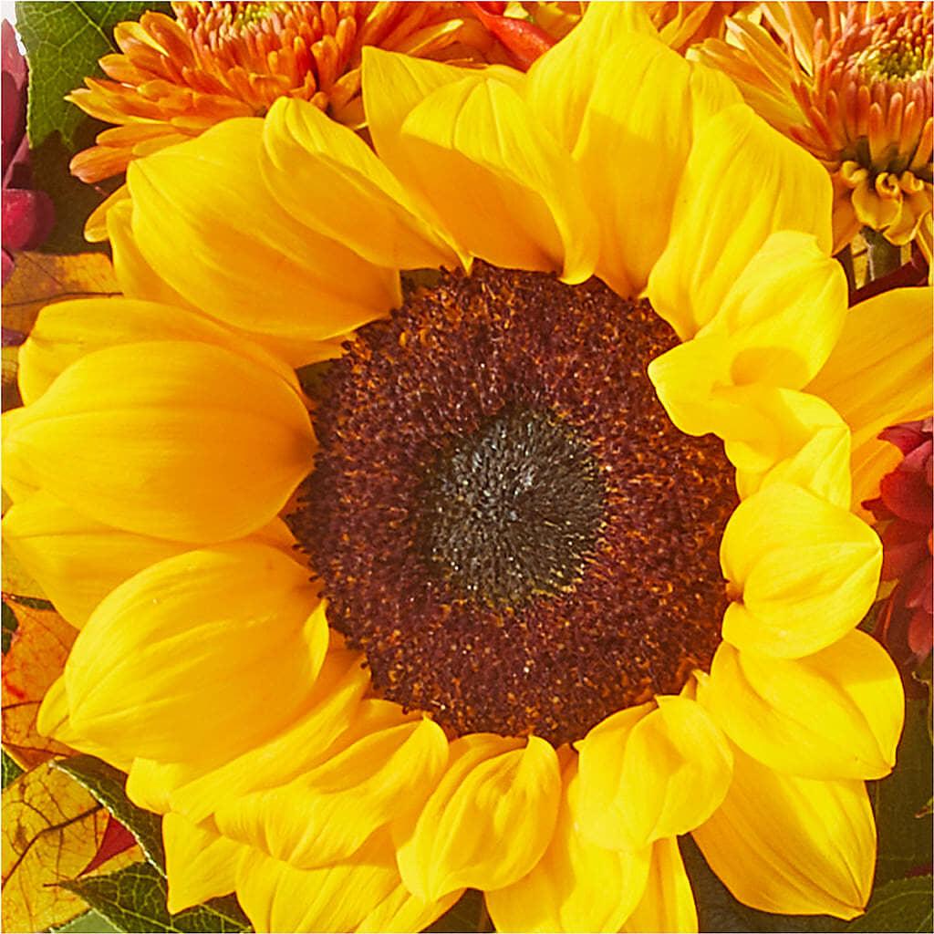 Sunny Side Bouquet –  The Village Market Florist, Holly Springs MS