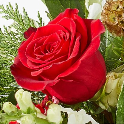 Deck the Halls Bouquet –  The Village Market Florist, Holly Springs MS