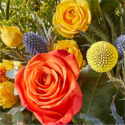 Disco Bouquet –  The Village Market Florist, Holly Springs MS