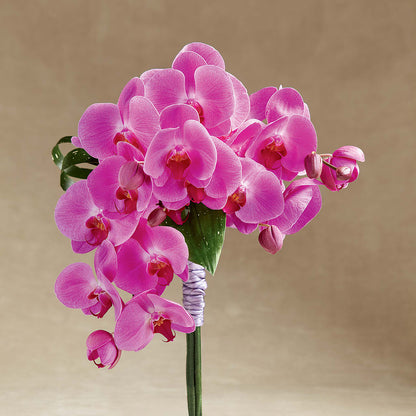 Glorious Bouquet –  The Village Market Florist, Holly Springs MS