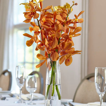 Orange Mokara Bud Vase –  The Village Market Florist, Holly Springs MS
