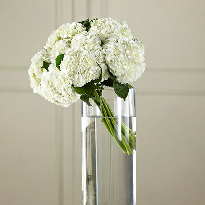 White Hydrangea Hand-Tied Bouquet –  The Village Market Florist, Holly Springs MS
