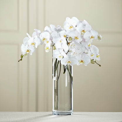 White Phalaenopsis Bouquet –  The Village Market Florist, Holly Springs MS
